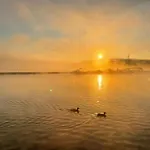 Hausboot Mit Sauna By Interhome